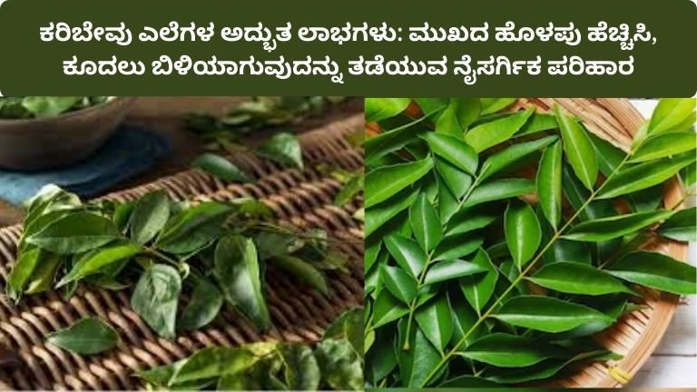 karibevu-ele-benefits-skin-hair-digestion-health-kannada