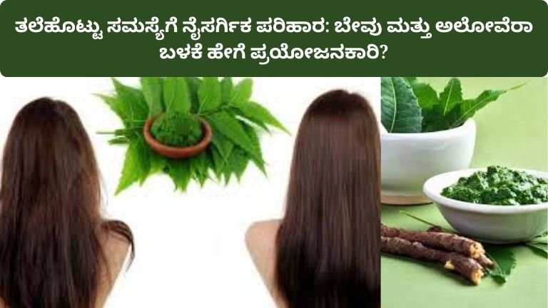 neem-aloevera-natural-remedy-for-dandruff-kannada